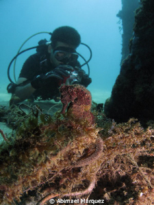 Those two seahorses (black and brown), Crash Boat, P.R. by Abimael Márquez 